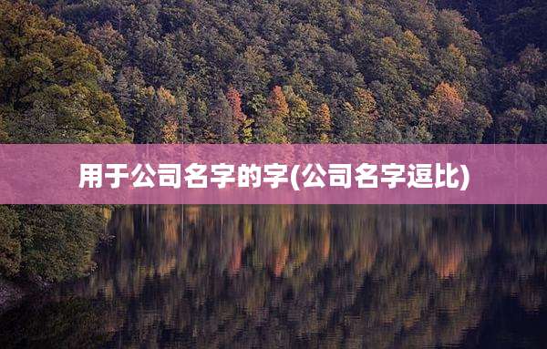 用于公司名字的字(公司名字逗比)