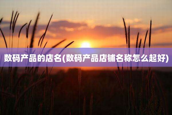数码产品的店名(数码产品店铺名称怎么起好)