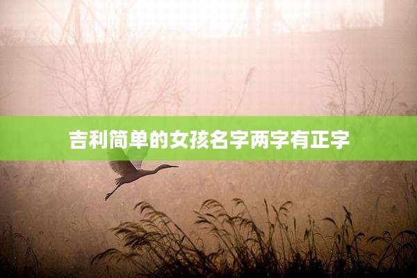 吉利简单的女孩名字两字有正字
