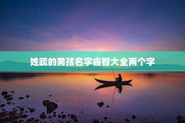 姓疏的男孩名字睿智大全两个字