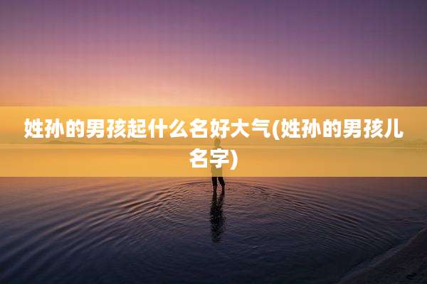 姓孙的男孩起什么名好大气(姓孙的男孩儿名字)