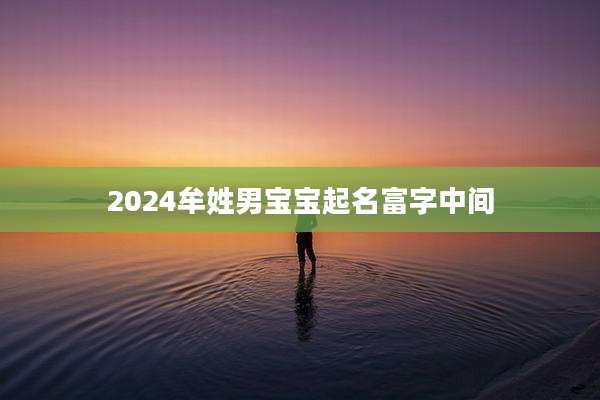 2024牟姓男宝宝起名富字中间
