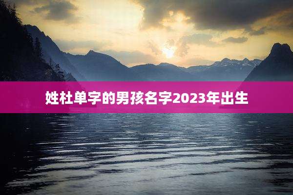 姓杜单字的男孩名字2023年出生