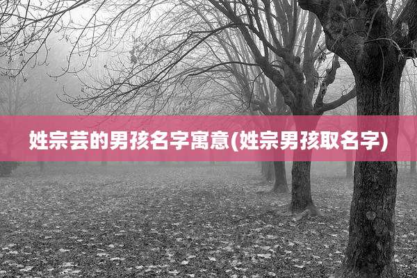 姓宗芸的男孩名字寓意(姓宗男孩取名字)
