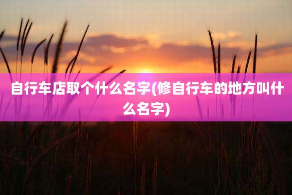 自行车店取个什么名字(修自行车的地方叫什么名字)