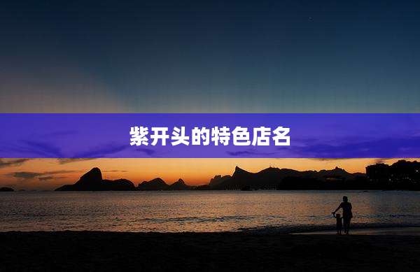 紫开头的特色店名