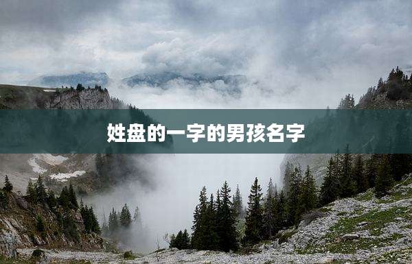 姓盘的一字的男孩名字