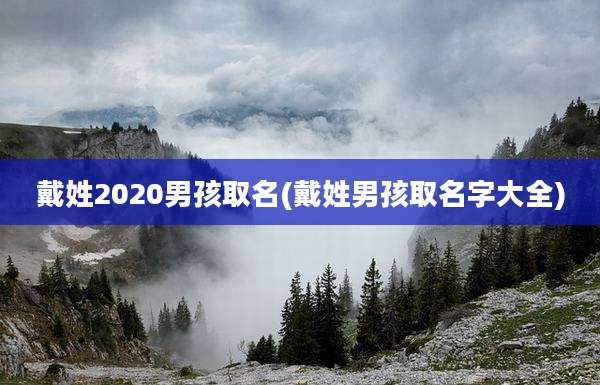 戴姓2020男孩取名(戴姓男孩取名字大全)