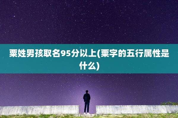 粟姓男孩取名95分以上(粟字的五行属性是什么)