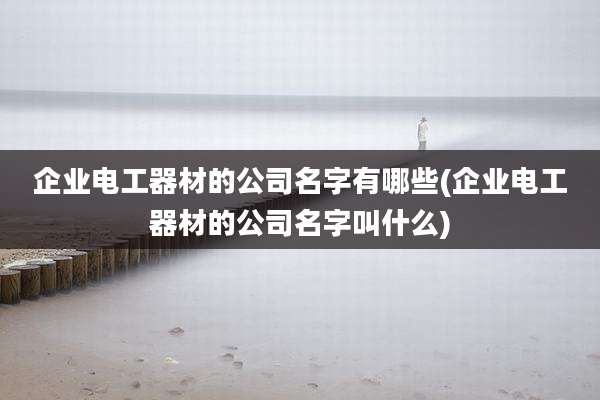 企业电工器材的公司名字有哪些(企业电工器材的公司名字叫什么)