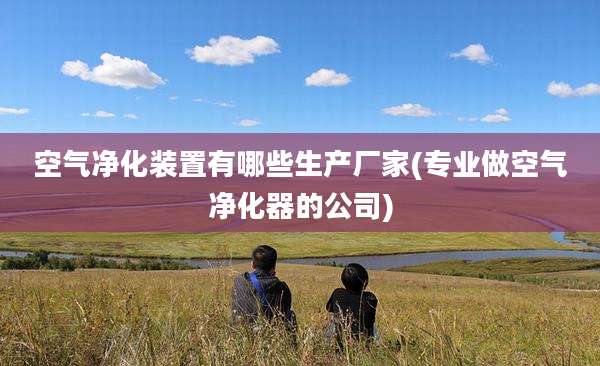 空气净化装置有哪些生产厂家(专业做空气净化器的公司)