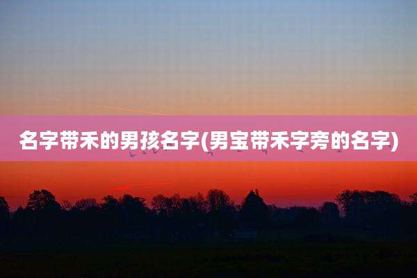名字带禾的男孩名字(男宝带禾字旁的名字)