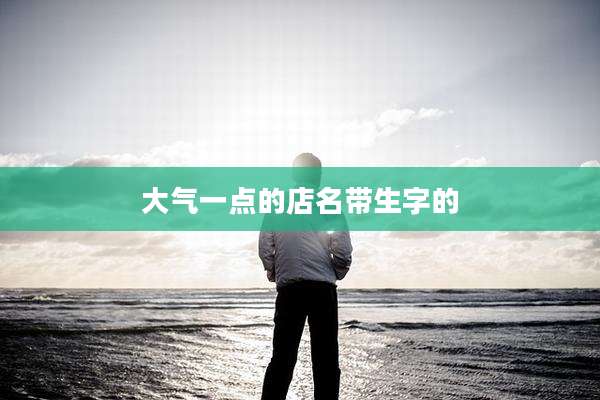 大气一点的店名带生字的