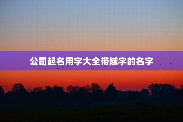 公司起名用字大全带域字的名字