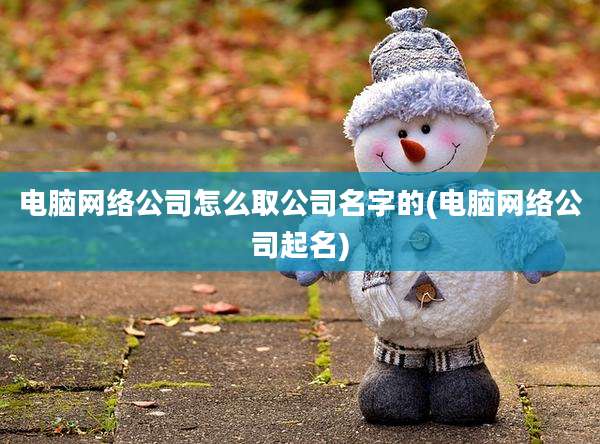 电脑网络公司怎么取公司名字的(电脑网络公司起名)