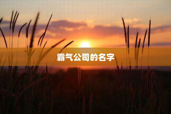 霸气公司的名字