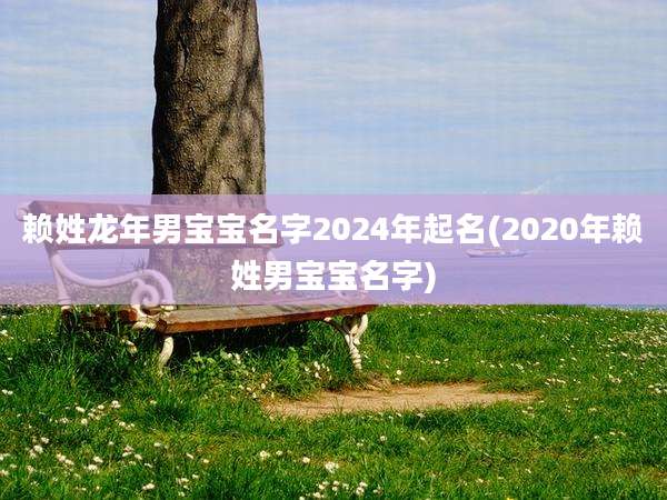 赖姓龙年男宝宝名字2024年起名(2020年赖姓男宝宝名字)