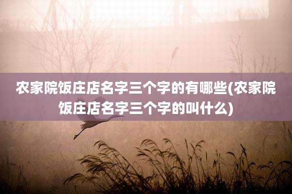 农家院饭庄店名字三个字的有哪些(农家院饭庄店名字三个字的叫什么)