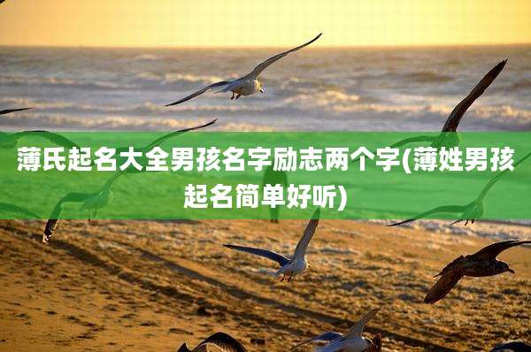 薄氏起名大全男孩名字励志两个字(薄姓男孩起名简单好听)
