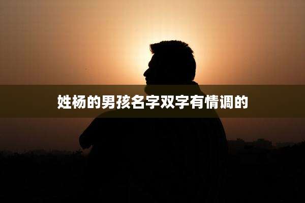 姓杨的男孩名字双字有情调的