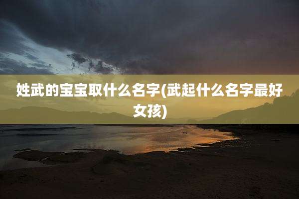 姓武的宝宝取什么名字(武起什么名字最好女孩)