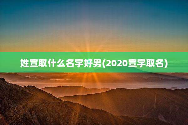姓宣取什么名字好男(2020宣字取名)