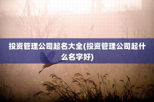 投资管理公司起名大全(投资管理公司起什么名字好)