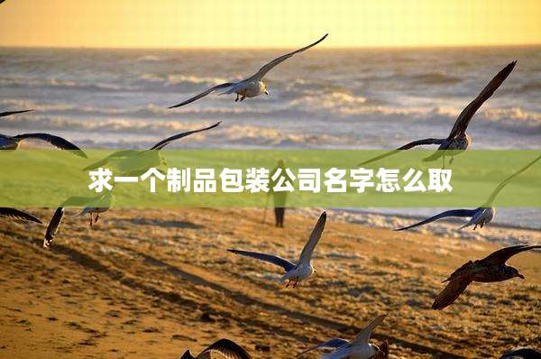 求一个制品包装公司名字怎么取