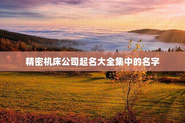 精密机床公司起名大全集中的名字