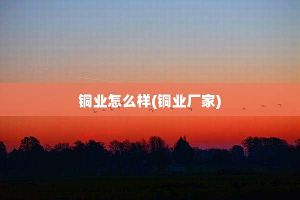 铜业怎么样(铜业厂家)
