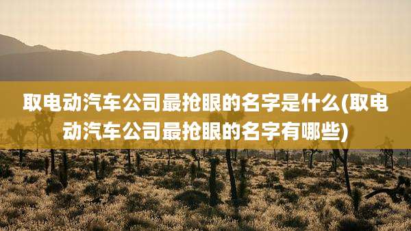 取电动汽车公司最抢眼的名字是什么(取电动汽车公司最抢眼的名字有哪些)