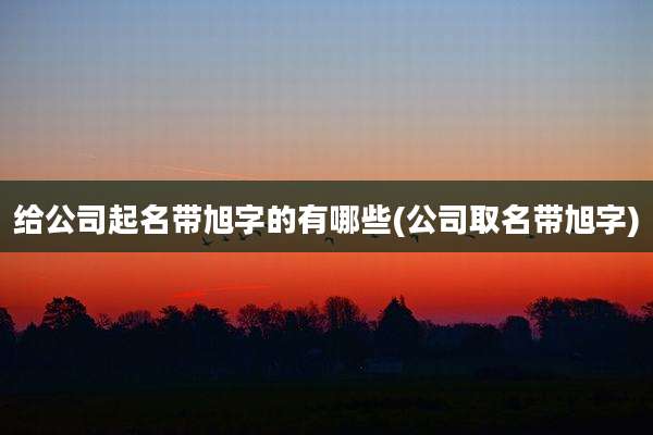给公司起名带旭字的有哪些(公司取名带旭字)