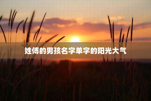 姓傅的男孩名字单字的阳光大气