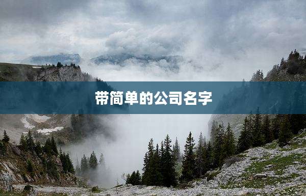带简单的公司名字