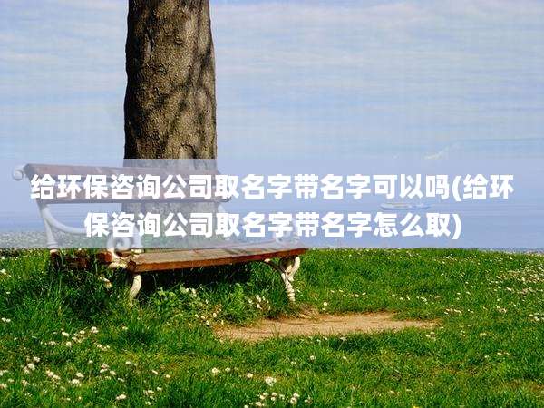给环保咨询公司取名字带名字可以吗(给环保咨询公司取名字带名字怎么取)