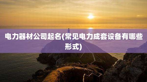 电力器材公司起名(常见电力成套设备有哪些形式)