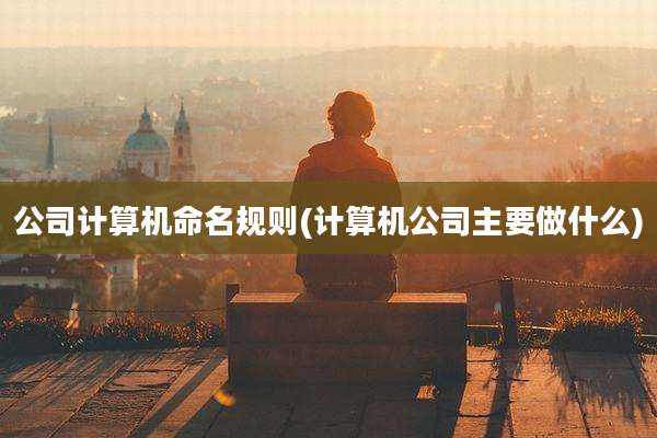 公司计算机命名规则(计算机公司主要做什么)