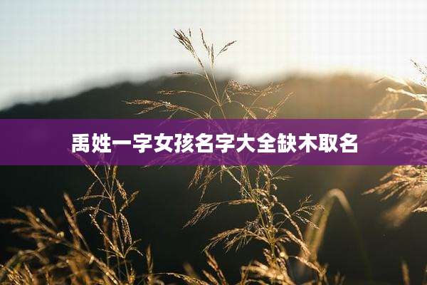 禹姓一字女孩名字大全缺木取名