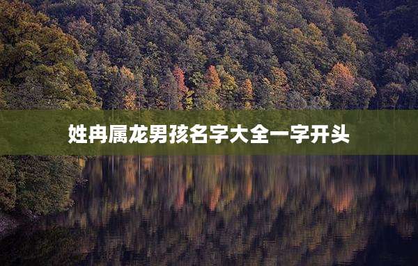 姓冉属龙男孩名字大全一字开头