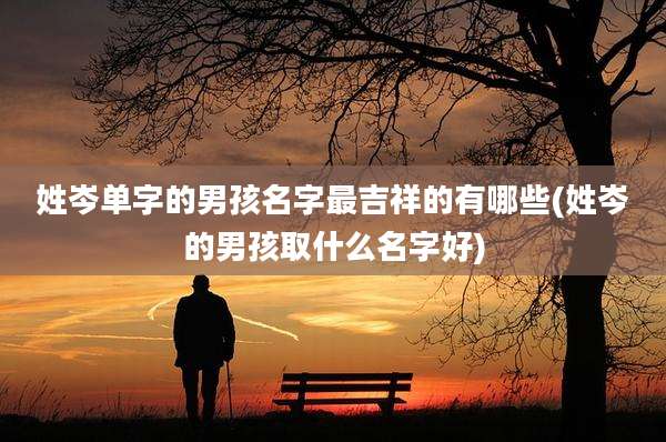 姓岑单字的男孩名字最吉祥的有哪些(姓岑的男孩取什么名字好)