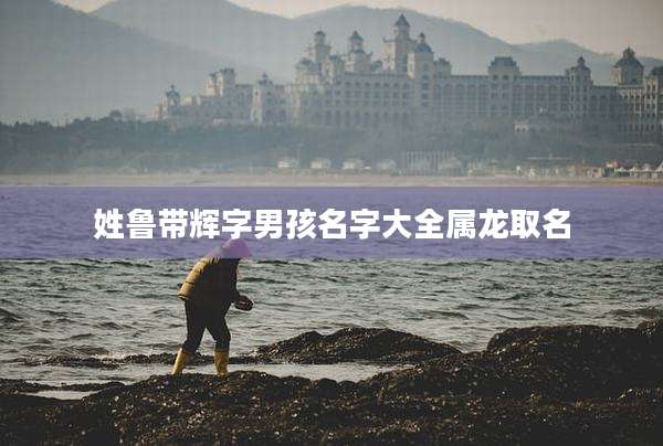 姓鲁带辉字男孩名字大全属龙取名