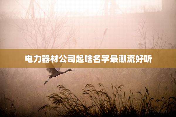 电力器材公司起啥名字最潮流好听