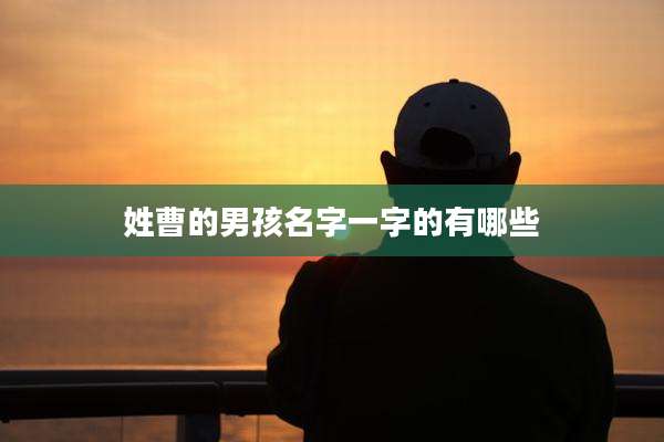 姓曹的男孩名字一字的有哪些