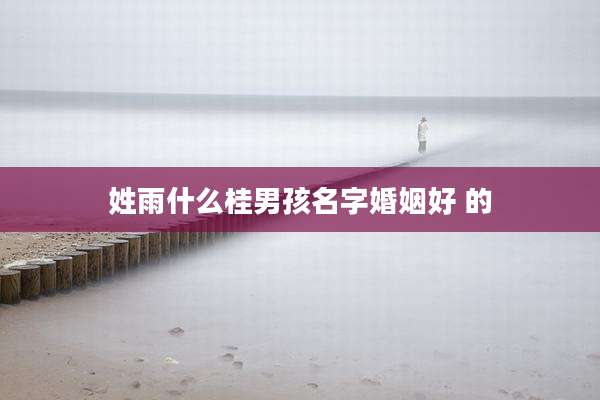 姓雨什么桂男孩名字婚姻好 的