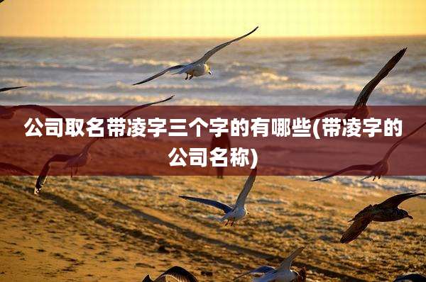 公司取名带凌字三个字的有哪些(带凌字的公司名称)