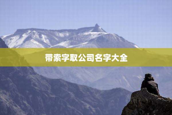 带索字取公司名字大全