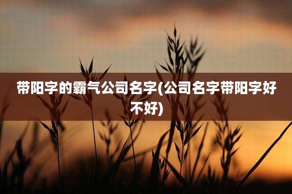 带阳字的霸气公司名字(公司名字带阳字好不好)