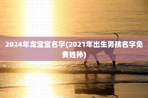 2024年龙宝宝名字(2021年出生男孩名字免费姓孙)