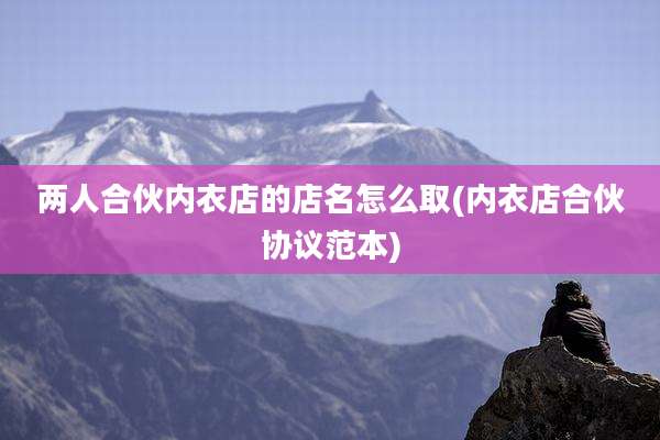 两人合伙内衣店的店名怎么取(内衣店合伙协议范本)
