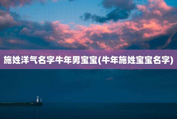施姓洋气名字牛年男宝宝(牛年施姓宝宝名字)